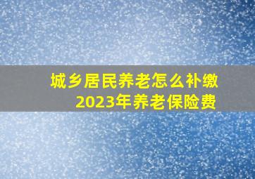 城乡居民养老怎么补缴2023年养老保险费