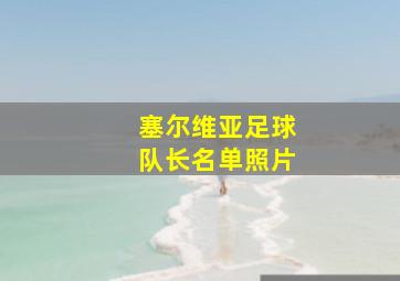 塞尔维亚足球队长名单照片