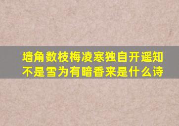 墙角数枝梅凌寒独自开遥知不是雪为有暗香来是什么诗