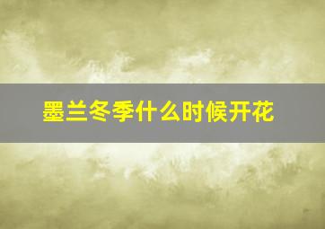 墨兰冬季什么时候开花