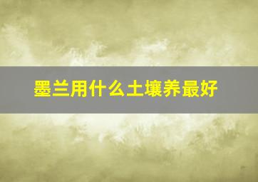 墨兰用什么土壤养最好