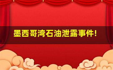 墨西哥湾石油泄露事件!