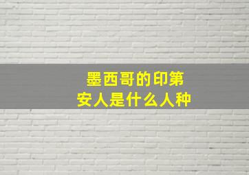 墨西哥的印第安人是什么人种