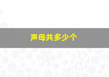 声母共多少个