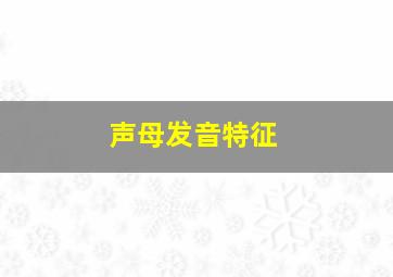 声母发音特征