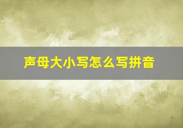 声母大小写怎么写拼音