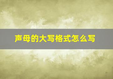 声母的大写格式怎么写