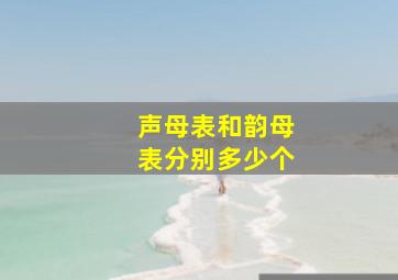 声母表和韵母表分别多少个