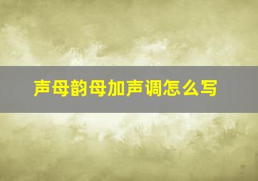 声母韵母加声调怎么写