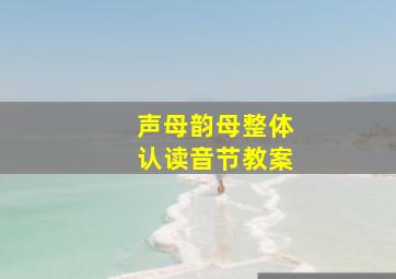 声母韵母整体认读音节教案