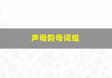 声母韵母词组