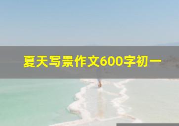 夏天写景作文600字初一