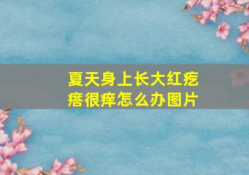 夏天身上长大红疙瘩很痒怎么办图片