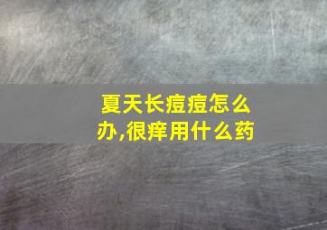 夏天长痘痘怎么办,很痒用什么药