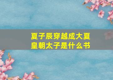 夏子辰穿越成大夏皇朝太子是什么书