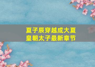 夏子辰穿越成大夏皇朝太子最新章节