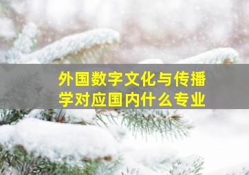 外国数字文化与传播学对应国内什么专业