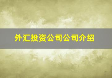 外汇投资公司公司介绍