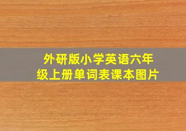 外研版小学英语六年级上册单词表课本图片