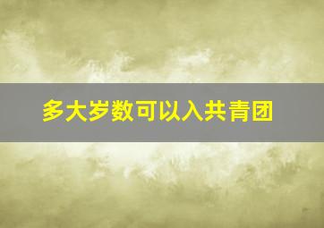 多大岁数可以入共青团