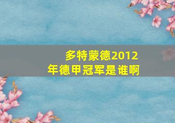 多特蒙德2012年德甲冠军是谁啊