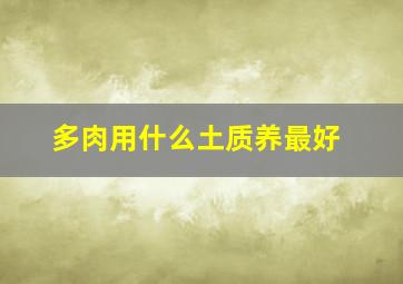 多肉用什么土质养最好