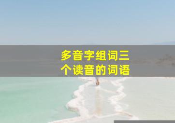 多音字组词三个读音的词语