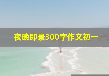 夜晚即景300字作文初一