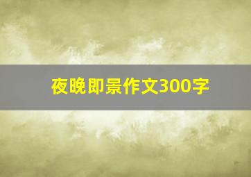 夜晚即景作文300字