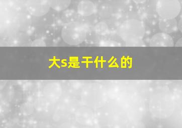 大s是干什么的