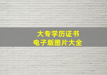 大专学历证书电子版图片大全