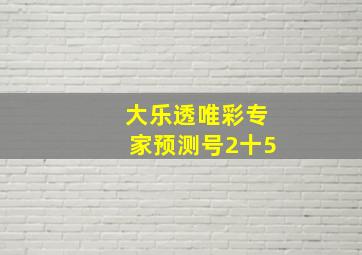 大乐透唯彩专家预测号2十5