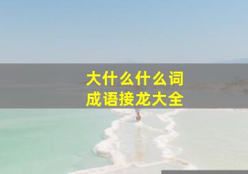 大什么什么词成语接龙大全