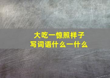 大吃一惊照样子写词语什么一什么