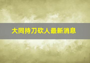 大同持刀砍人最新消息