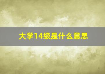 大学14级是什么意思