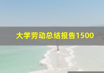 大学劳动总结报告1500