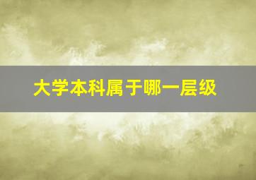 大学本科属于哪一层级