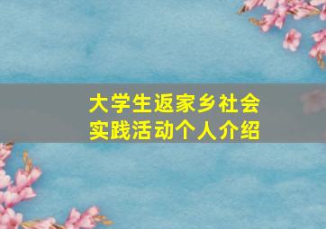 大学生返家乡社会实践活动个人介绍