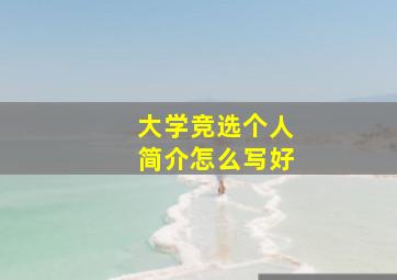 大学竞选个人简介怎么写好