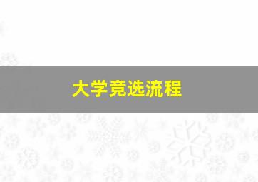 大学竞选流程