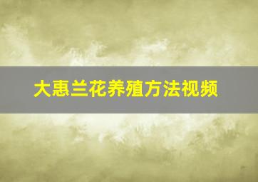 大惠兰花养殖方法视频