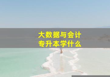 大数据与会计专升本学什么