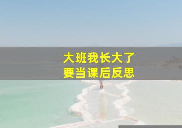 大班我长大了要当课后反思