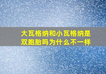 大瓦格纳和小瓦格纳是双胞胎吗为什么不一样