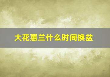 大花蕙兰什么时间换盆