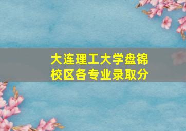 大连理工大学盘锦校区各专业录取分