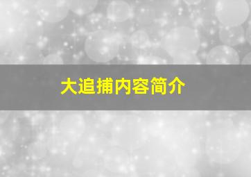 大追捕内容简介