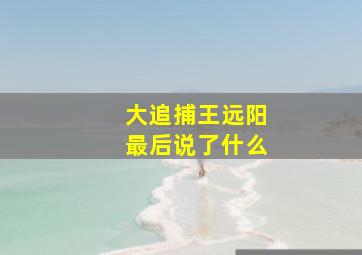 大追捕王远阳最后说了什么