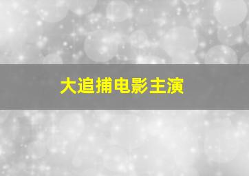 大追捕电影主演